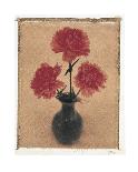 Carnations.-Scott Morrish-Stretched Canvas