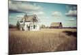 Photographic Print