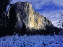 El Capitan, Yosemite National Park, California, USA-Scott Smith-Photographic Print