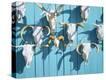 Stretched Canvas Print