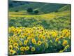 Premium Photographic Print
