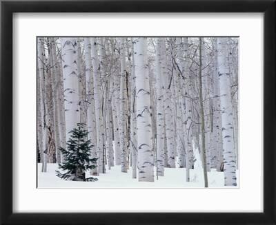 Winter Road 90x60cm Framed Premium Quality Wall Art Print