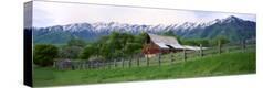 Stretched Canvas Print
