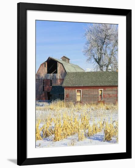 Photographic Print, , large