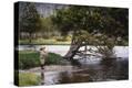Stretched Canvas Print