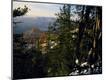 Photographic Print