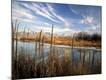 Photographic Print