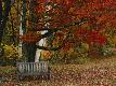 Premium Photographic Print