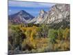 Photographic Print