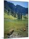 Photographic Print