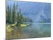 Photographic Print
