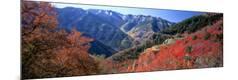 Premium Photographic Print
