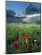 Premium Photographic Print