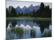 Photographic Print