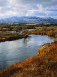 Maples on Slopes above Logan Canyon, Bear River Range, Wasatch-Cache National Forest, Utah, USA-Scott T^ Smith-Photographic Print