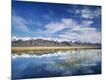 Photographic Print