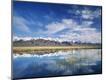 Photographic Print