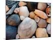 Premium Photographic Print