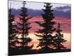 Premium Photographic Print