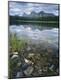 Photographic Print