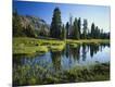 Photographic Print