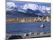 Photographic Print