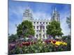 Photographic Print