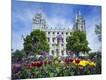 Photographic Print