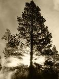 Kings Peak Massif Reflected, High Uintas Wilderness, Utah, Usa-Scott T^ Smith-Photographic Print