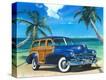 Stretched Canvas Print
