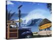 Stretched Canvas Print