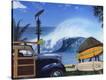 Stretched Canvas Print