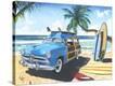 Stretched Canvas Print