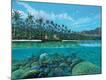 Premium Giclee Print
