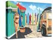 Stretched Canvas Print