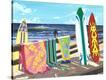 Stretched Canvas Print