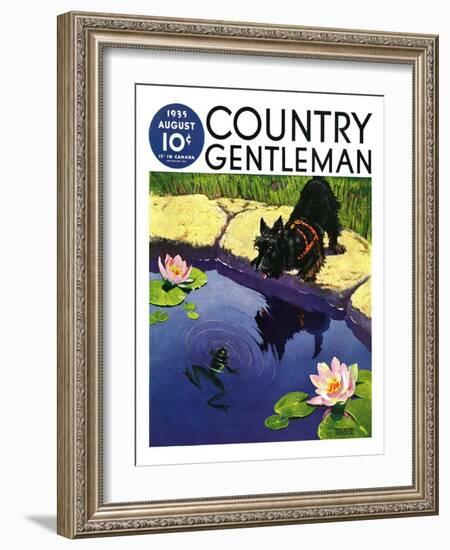 "Scottie and Frog," Country Gentleman Cover, August 1, 1935-Nelson Grofe-Framed Giclee Print