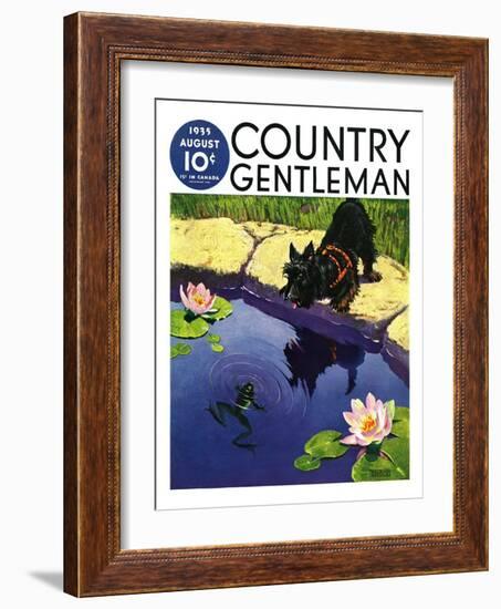 "Scottie and Frog," Country Gentleman Cover, August 1, 1935-Nelson Grofe-Framed Giclee Print