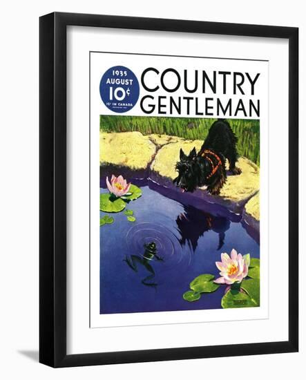 "Scottie and Frog," Country Gentleman Cover, August 1, 1935-Nelson Grofe-Framed Giclee Print