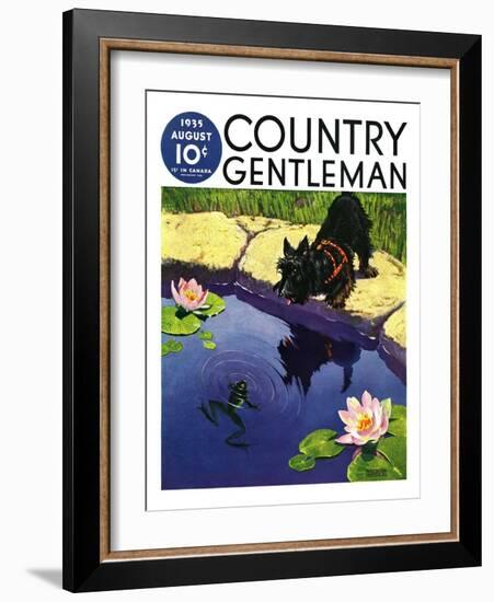 "Scottie and Frog," Country Gentleman Cover, August 1, 1935-Nelson Grofe-Framed Giclee Print