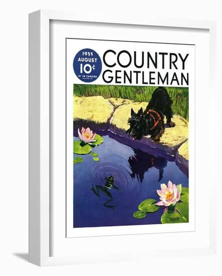 "Scottie and Frog," Country Gentleman Cover, August 1, 1935-Nelson Grofe-Framed Giclee Print