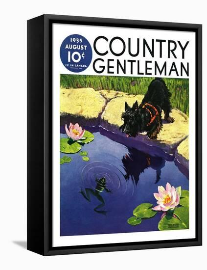 "Scottie and Frog," Country Gentleman Cover, August 1, 1935-Nelson Grofe-Framed Premier Image Canvas