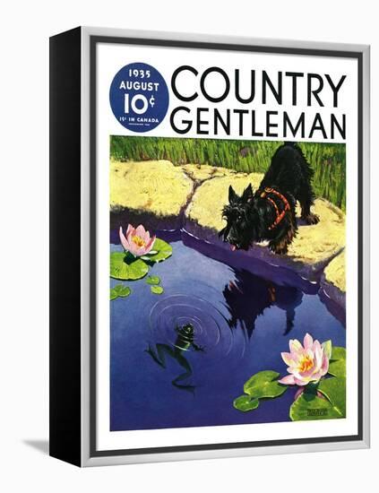 "Scottie and Frog," Country Gentleman Cover, August 1, 1935-Nelson Grofe-Framed Premier Image Canvas