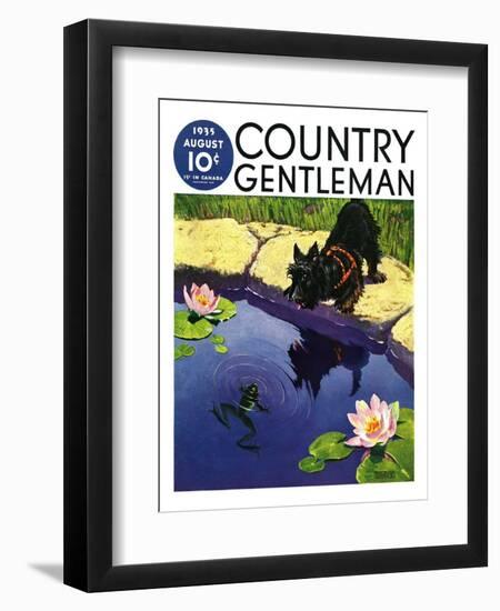 "Scottie and Frog," Country Gentleman Cover, August 1, 1935-Nelson Grofe-Framed Giclee Print