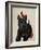 Scottie Dog and Red Birds-Fab Funky-Framed Art Print