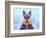 Scottie Dog L-Fernando Palma-Framed Giclee Print