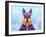 Scottie Dog L-Fernando Palma-Framed Giclee Print