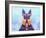 Scottie Dog L-Fernando Palma-Framed Giclee Print