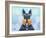 Scottie Dog LI-Fernando Palma-Framed Giclee Print