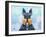 Scottie Dog LI-Fernando Palma-Framed Giclee Print